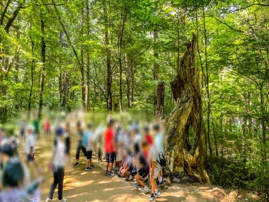 2024 전통산사문화유산 - 큐레이터와 함께 하는 산사문화유산 탐방